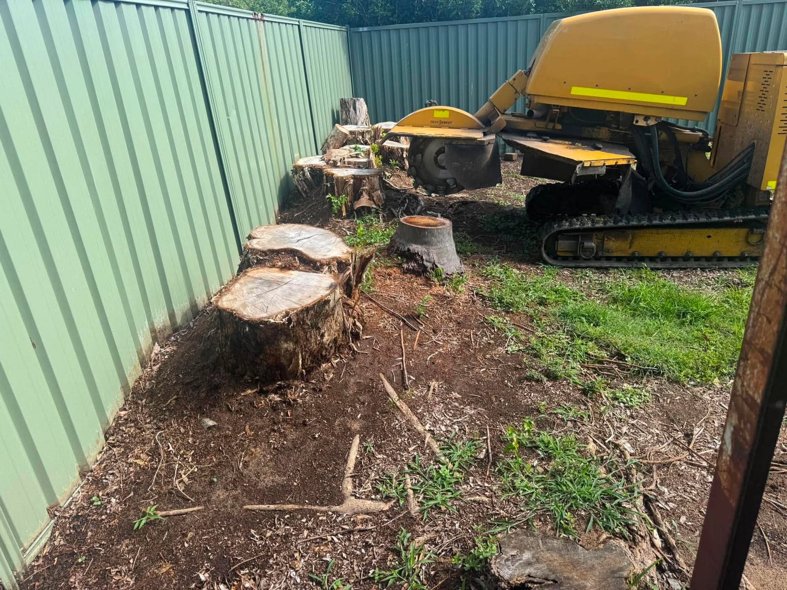 Stump grinder beside a row of ground tree stumps in an Aspley backyard