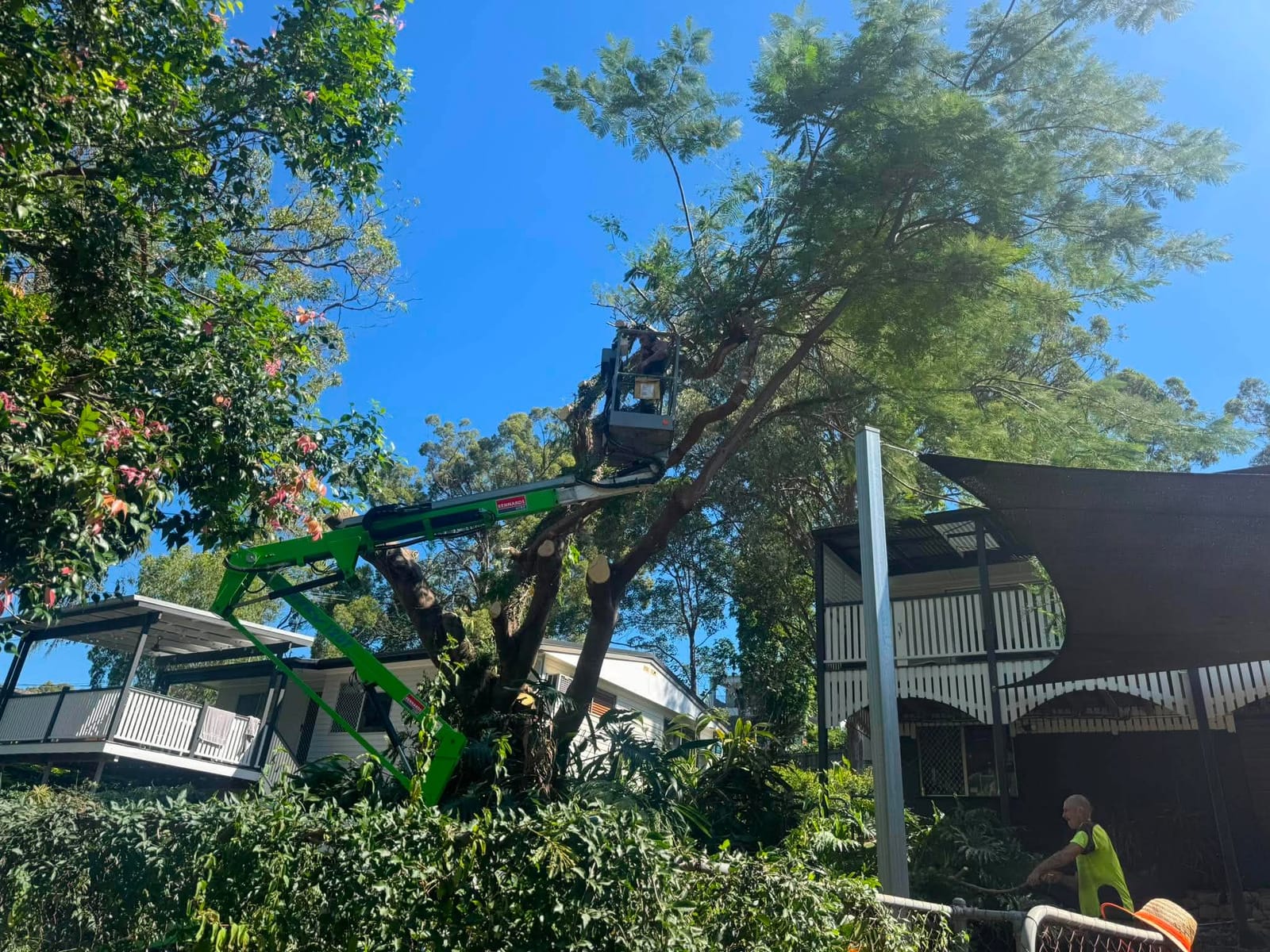 Arborist in a cherry picker removing a tree under blue sky near Chermside