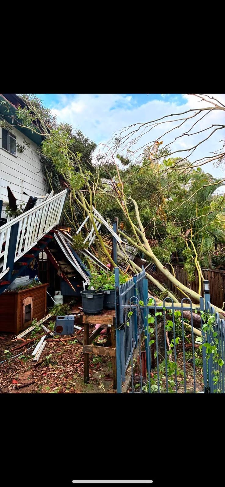 Storm-damaged tree fallen onto a Brisbane home