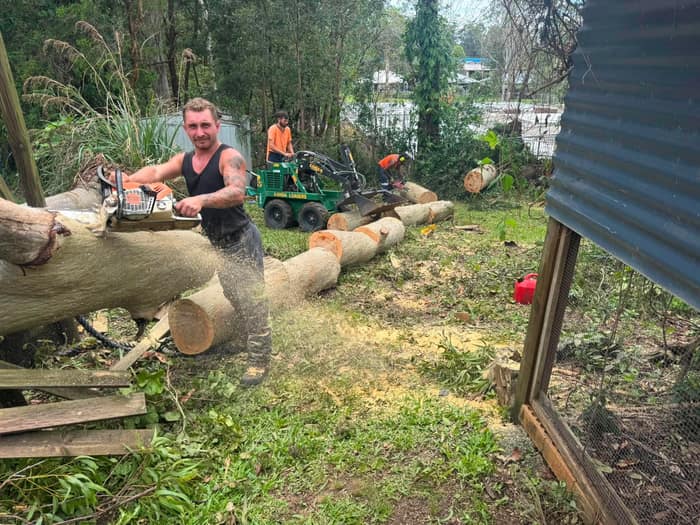 Arborist cutting fallen gum logs with a chainsaw on a Brisbane tree removal job