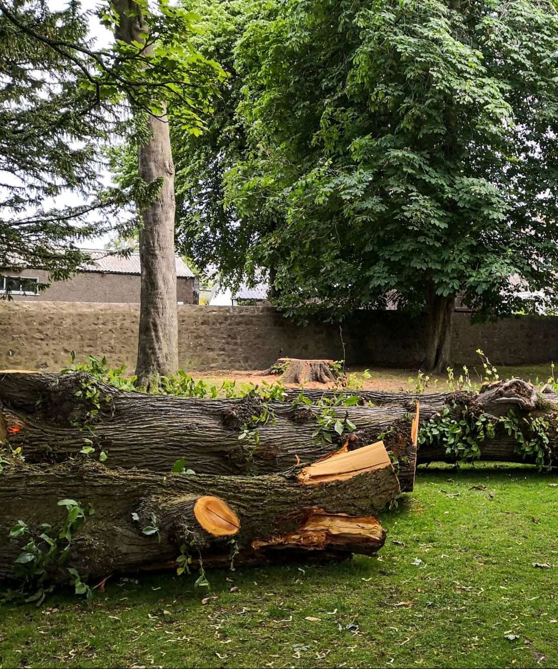 Ozzys Tree Services Brisbane