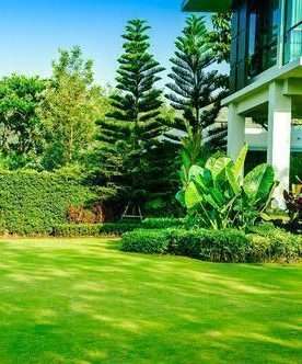 Front-Yard-Landscaping-Ideas