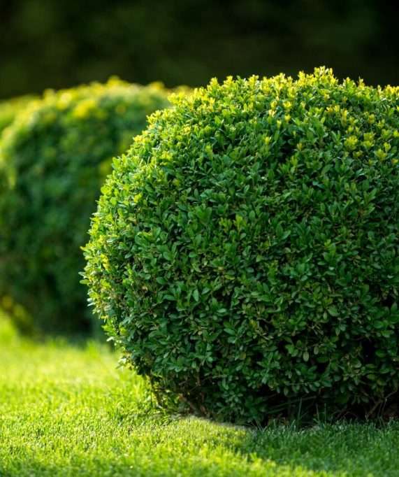 iStock-493238552-1024x683