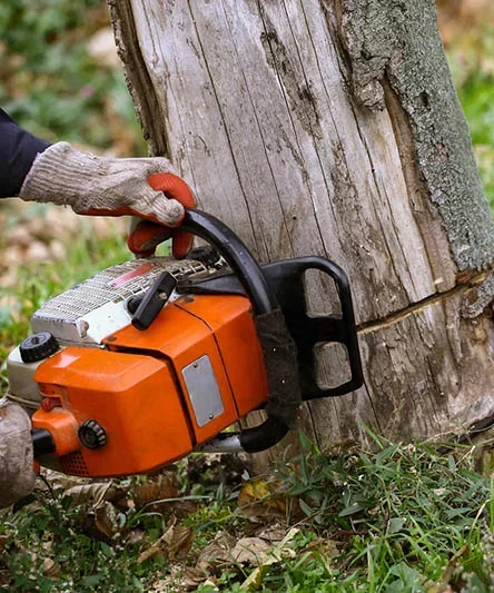 Ozzys Tree Services Brisbane