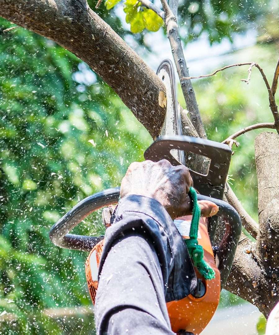 Ozzys Tree Services Brisbane