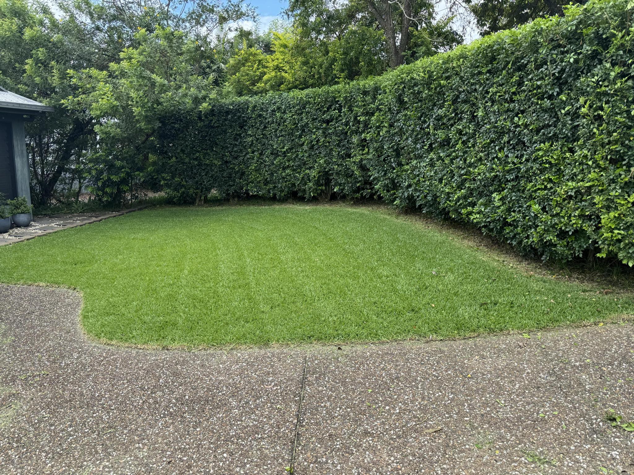 Ozzys Tree Brisbane Arborist (1)